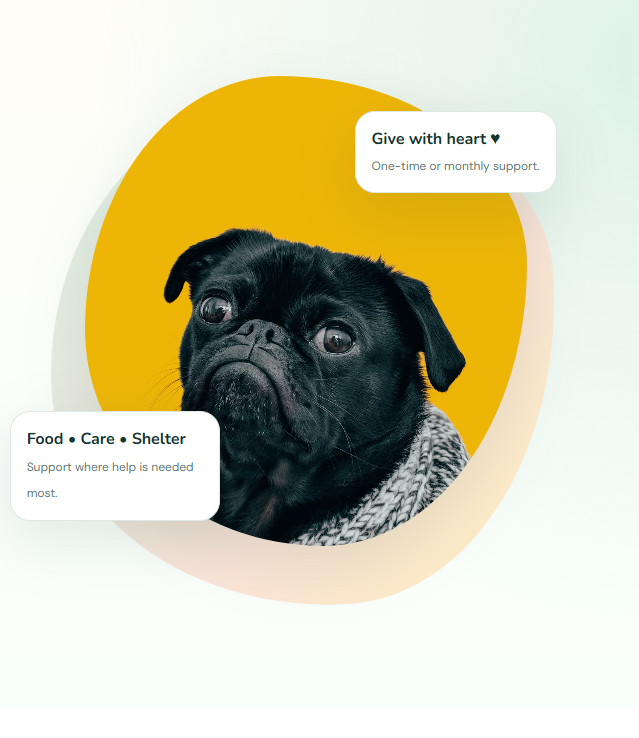 Black pug featured in the Bear Tails Welfare homepage design